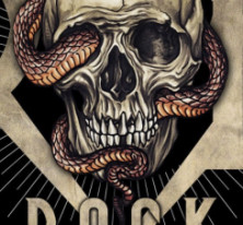 ROBROCK 13