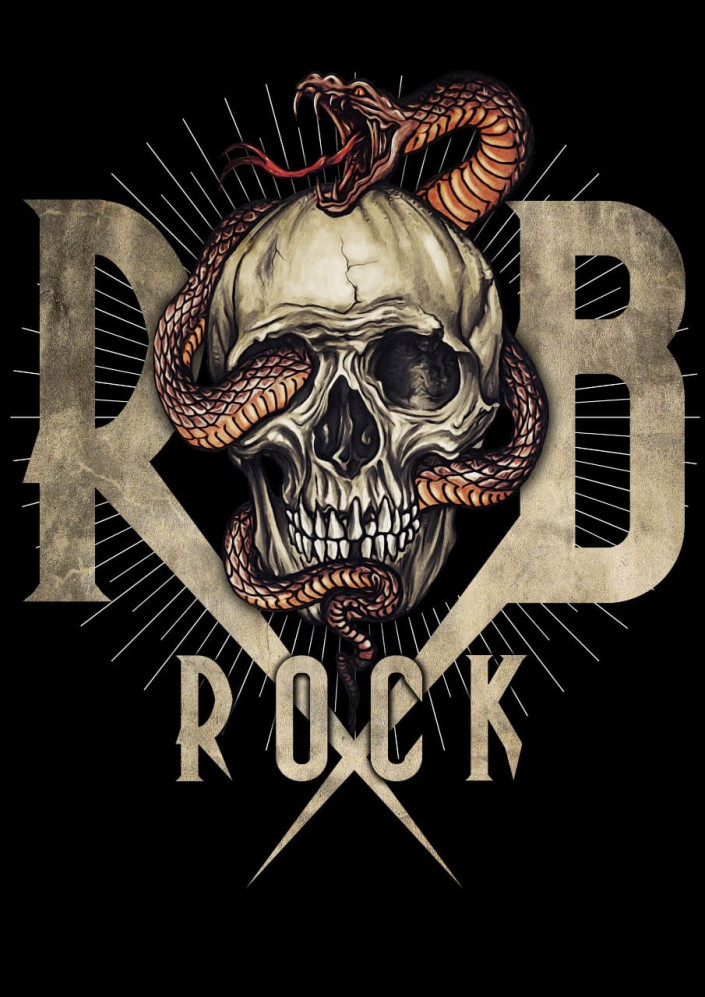ROBROCK 13