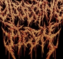 Dissecting flesh