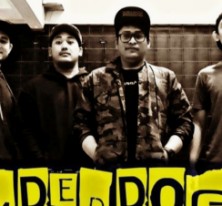 UNDERDOGS