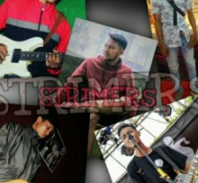 STRIMERS