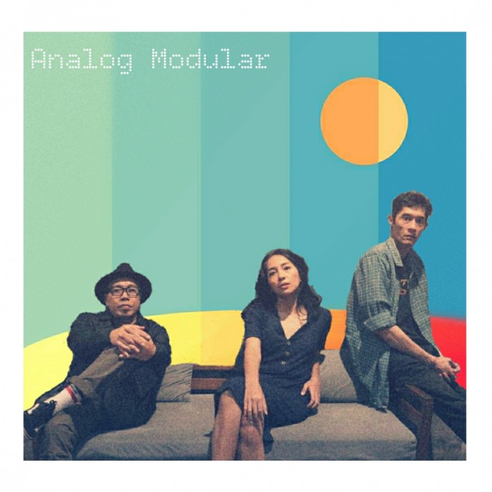 Analog Modular