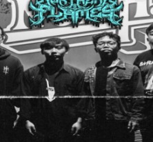 Northern Flames