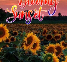 Bloomy Sunset