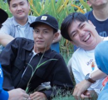 Buai