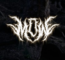 MURDER OF WYSTERIA