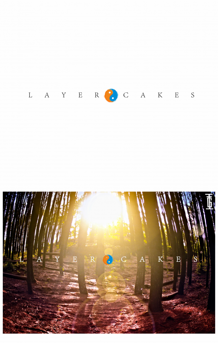 LAYER CAKES