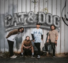 CAT and DOG