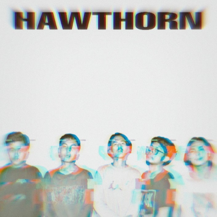 Hawthorn