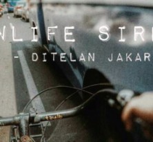 LowLife Sirens
