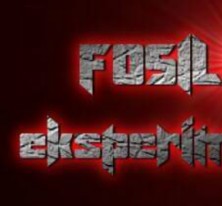 Fosil