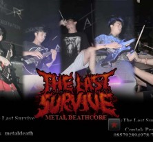 The Last Survive