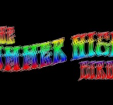 The Summer Night Birds