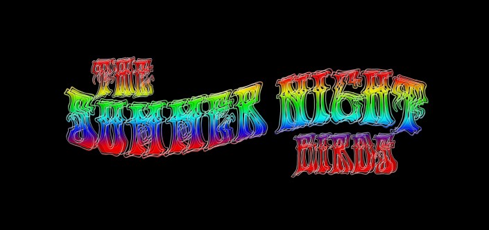 The Summer Night Birds