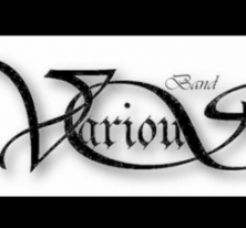 VariouS Band