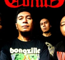 The Corals