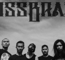 Dissbrain