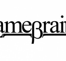 lamebrain