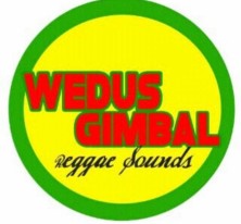 WEDUS GIMBAL