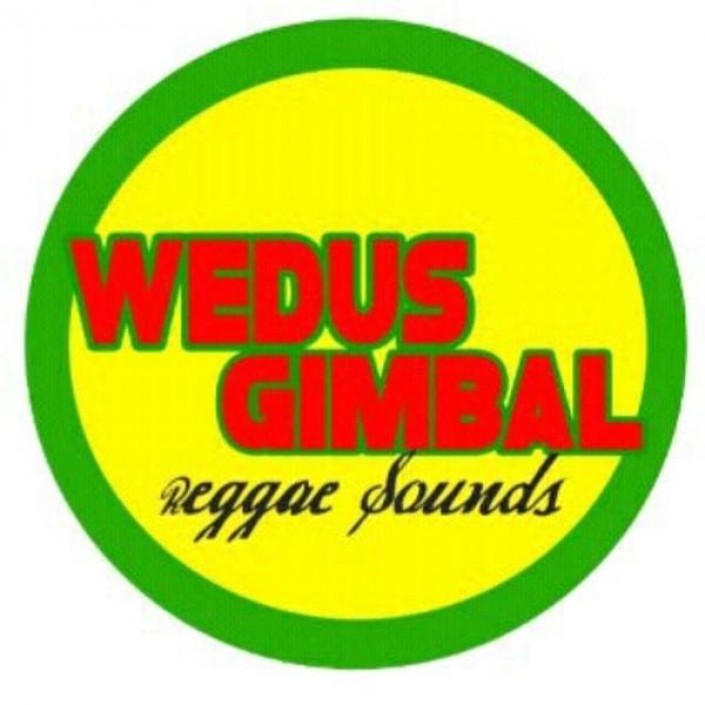 WEDUS GIMBAL