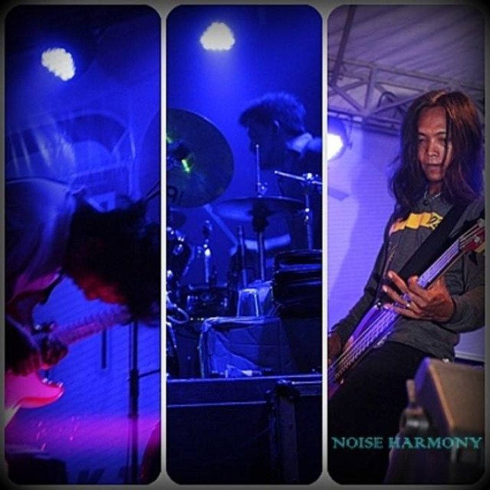 NOISE HARMONY