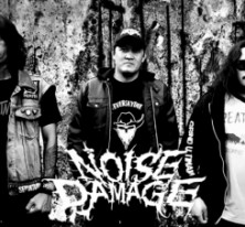 Noise Damage