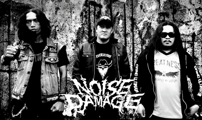 Noise Damage