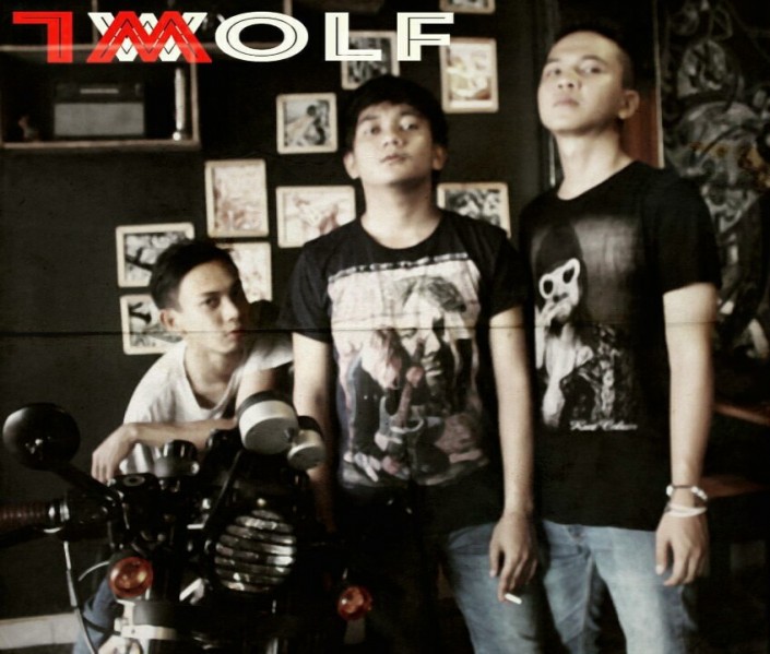 WOLF OWL