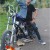 gonadpamoy