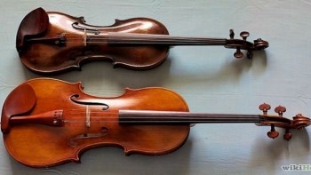 Perbedaan Dasar Alat Musik Biola Dan Viola