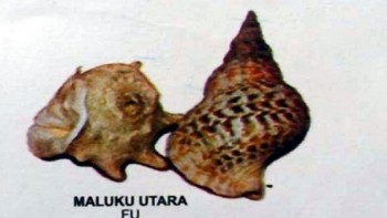 Alat Musik 'Fu' Maluku Utara