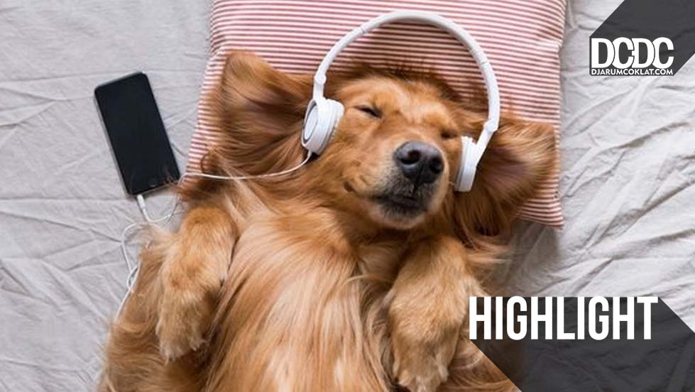Peran ‘Anjing’ Muncul Yang Dalam Karya Musik Independen Tanah Air