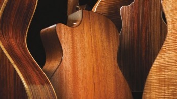 Sepuluh Jenis Kayu Bahan Dasar Gitar Akustik