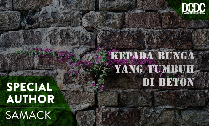 Kepada Bunga yang Tumbuh di Beton