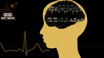 Mengapa Kita Bisa Suka Musik?